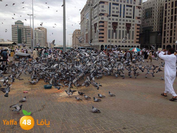 3omra yaffa0411 (42).jpg